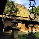 奈良 古民家 苔玉作り体験 JINYA