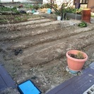 🌱貸し農園🌱