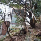 小倉北区の山林(市街化調整区域、建築不可)50坪