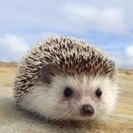 基礎から!勉強を楽しく!