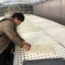 日曜大工、レザークラフト一緒にしませんか?