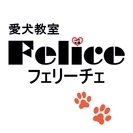 パピーシッター(子犬の一時預かり)