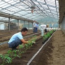 正社員募集★農業に興味のある方歓迎!