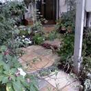 植木屋のグリングリン お庭周りのことならお任せください。