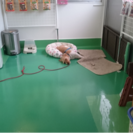社員募集 250000万以上