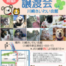 7/23 保護犬猫 譲渡会 拡散希望