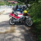 NSR250仲間