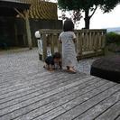 玉名市周辺で幼児を遊ばせる場所教えて!!