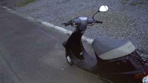 ホンダ パル
