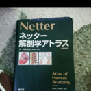 ネッター解剖学アトラス 送料込み