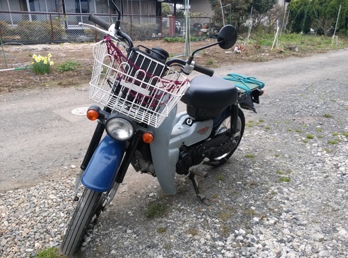 SUZUKI スズキ バーディー50 走行少い3115km