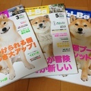 柴犬 Shi-Ba [シーバ] 3冊セット