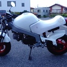 モンキー R  50cc  12V