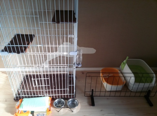 猫室内飼いセット