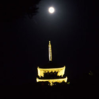 秋の月夜を見ながら伝統音楽を聴こう！　横浜『観月会』