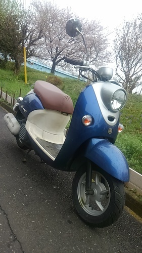 4stビーノ