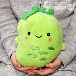 中古わさびちゃんが無料 格安で買える ジモティー 中古わさびちゃんが無料 格安で買える ジモティー