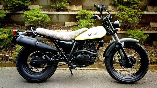 バンバン200 ヘビ柄シート 車体塗装済み
