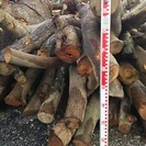 薪　広葉樹　原木　100キロ〜5トン程