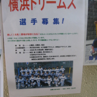 横浜ドリームスは強いチーム！いずみの駅・甲子園出場選手もコーチとして活躍しています♪の画像
