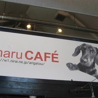 カフェレストラン　maru CAFE　オープニングスタッフ急募！