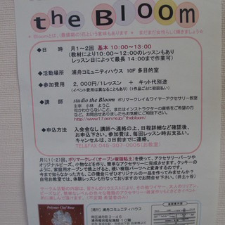 アクセサリーサークル「the Bloom」　メンバー募集♪　（阪...
