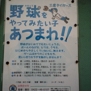 三鷹タイガースで野球をやりませんか？新しい仲間達へ！部員大募集！の画像