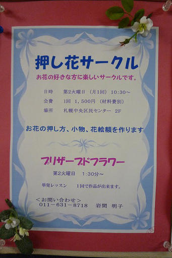 あの人の好きな花を押し花にしてプレゼントしよう かべさん 北海道の展示会のイベント参加者募集 無料掲載の掲示板 ジモティー