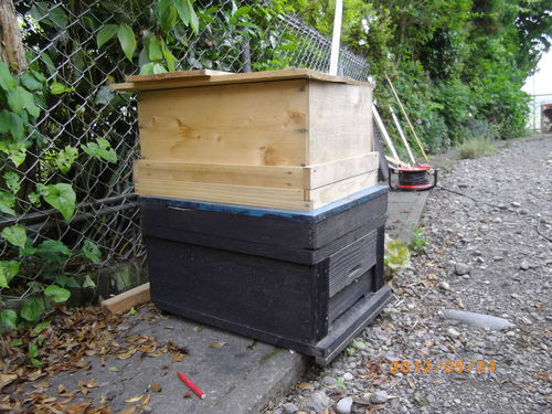ミツバチの巣箱（日本ミツバチ入り）