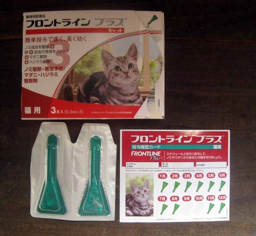 売ります ノミ ダニ駆除寄生予防フロントラインプラス猫用2ピペット13 09まで Neko その他のその他の中古あげます 譲ります ジモティーで不用品の処分