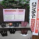姿勢矯正型インソール