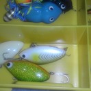 ZEALルアーセットで。