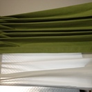 グリーンのカーテン