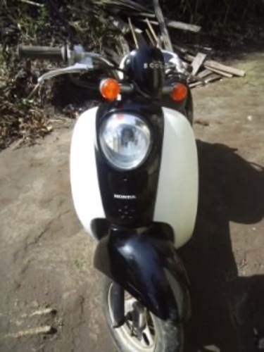 原付きバイクスクーピー