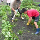 清沢ふるさと祭りと山里の冬支度体験（静岡市） - 静岡市