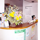 川崎市で歯科をお探しなら遠藤歯科医院へ　インプラントや虫歯、入れ...