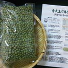 ■京都綾部産の青大豆2kg■1700円■ご家庭で手軽に味噌づくり...