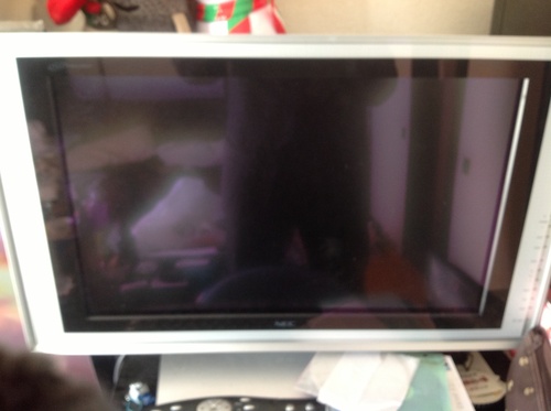 NECパソコンディスプレイ兼アナログTV23型