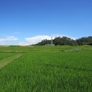 姫路の体験農園　ニコニコお米農園 − 兵庫県