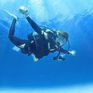 ダイビングライセンスを所得しませんか？