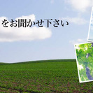 心の悩みの訪問カウンセリング・心理相談なら「ひいらぎ心理相談室」へ。まずはお気軽にご相談下さい。の画像