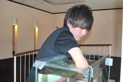 高円寺 専門知識不要 正社員も可 インテリア水槽のデザイン メンテナンス アクアプロデュース彩 高円寺のその他の無料求人 広告 アルバイト バイト募集情報 ジモティー