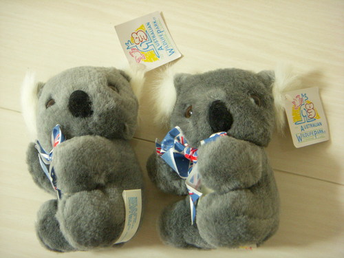 終了 コアラのぬいぐるみ オーストラリアお土産 未使用 Rice 大山のおもちゃ ぬいぐるみ の中古あげます 譲ります ジモティーで不用品の処分