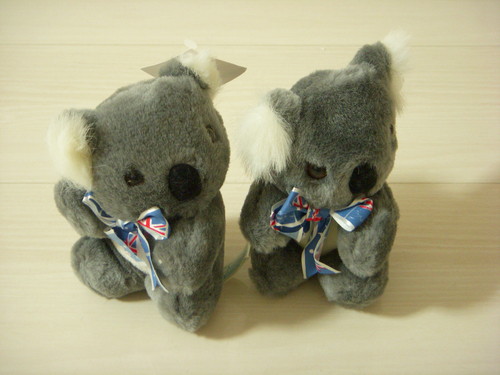 終了 コアラのぬいぐるみ オーストラリアお土産 未使用 Rice 大山のおもちゃ ぬいぐるみ の中古あげます 譲ります ジモティーで不用品の処分