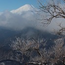 12/22-23　丹沢山小屋1泊2日　夜景と星空と桜霧氷を楽しむ...