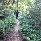 琵琶湖に浮かぶ沖島の森林遊歩道の整備活動のボランティア募集