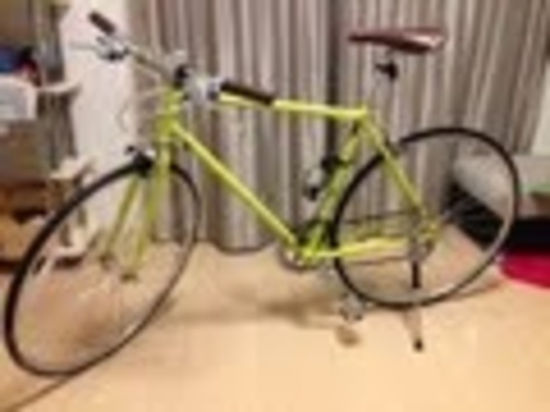 自転車美品RITEWAY SHEPERD IRON
