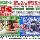 ドッグトリマー資格が取得できる県内最短期間で最安学費！ - 教室・スクール