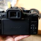 ミラーレス一眼カメラ★卒業・入学式を高画質で撮影★Panasonic