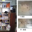 スチールラック差し上げます - 決定しました